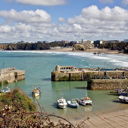 1 Harbour View Appartement New Quay Buitenkant foto